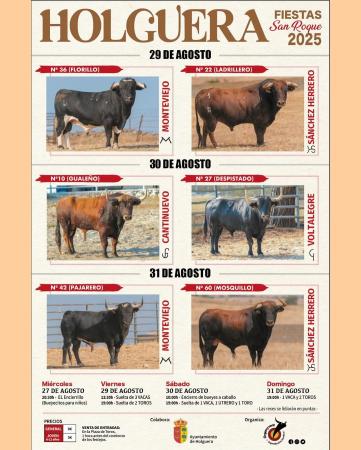 Imagen Toros Fiestas de San Roque