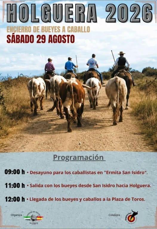 Imagen 29 de Agosto - Encierro Bueyes a Caballo
