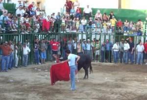 Imagen Fiestas de San Roque